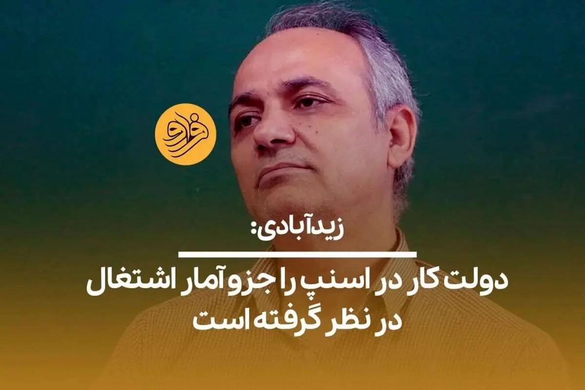 (ویدیو) زیدآبادی: دولت کار در اسنپ را جزو آمار اشتغال در نظر گرفته است
