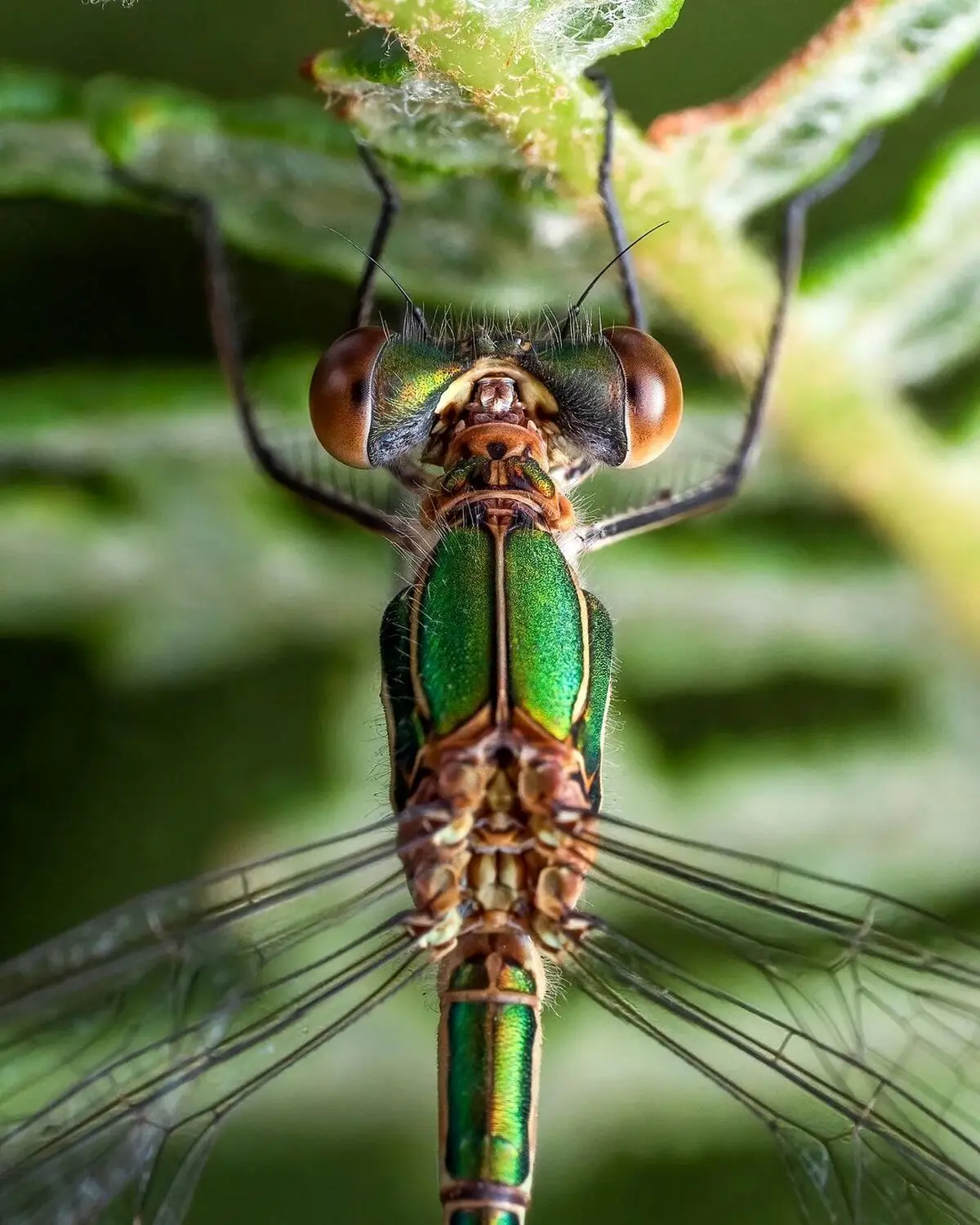 این عکس را باید دقیق نگاه کرد!