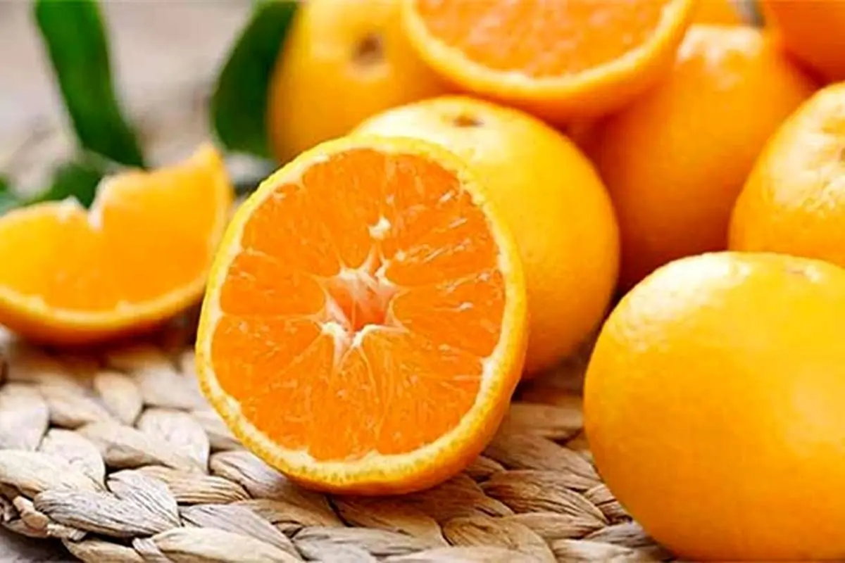 ۴ نکته طلایی برای نگهداری و ماندگاری طولانیتر پرتقال