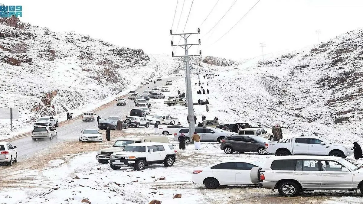 (ویدئو) بارش برف در عربستان
