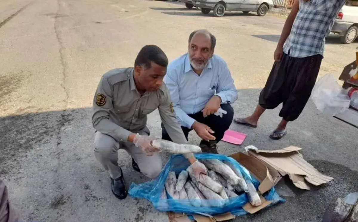 کشف محموله زبان حیوانات در میناب؛ از زبان گراز تا گاو