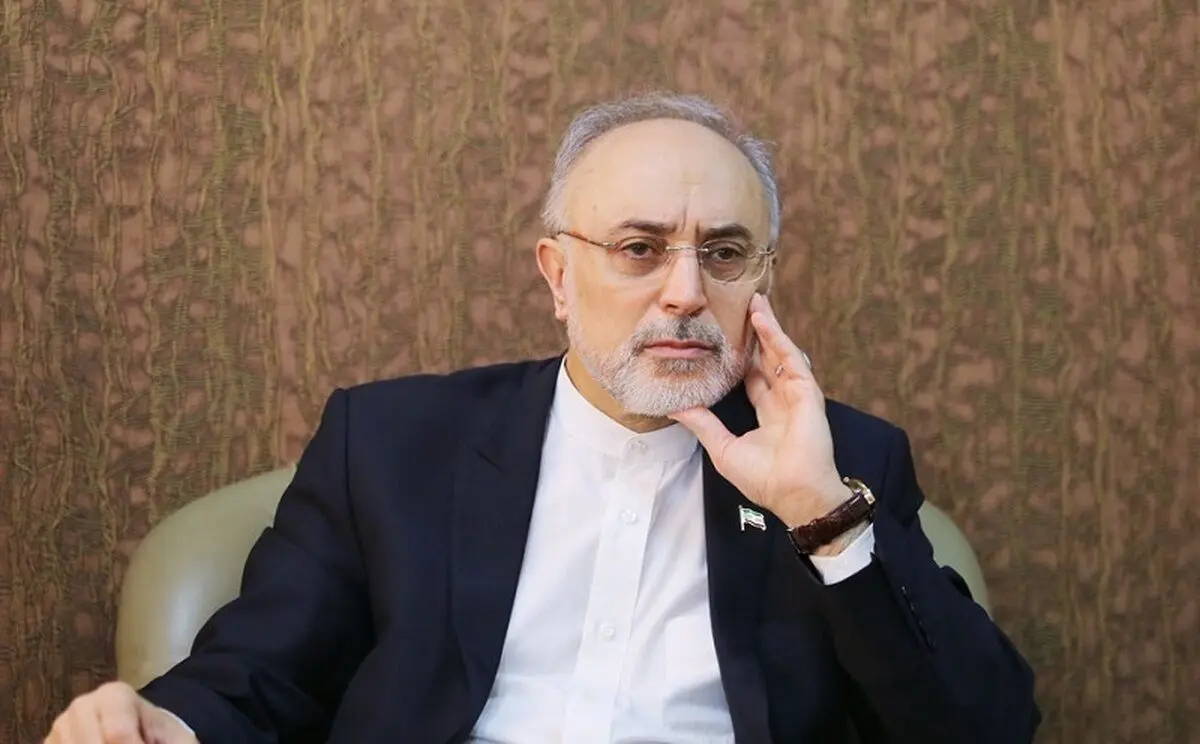 صالحی: نبود انتخابات موجب دیکتاتوری و اغتشاش می‌شود
