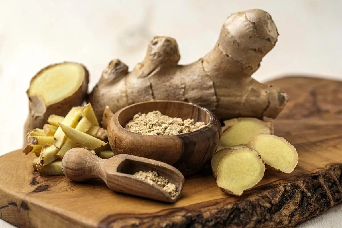 گیاه ضد سرطانی که خاصیت آنتی بیوتیک دارد