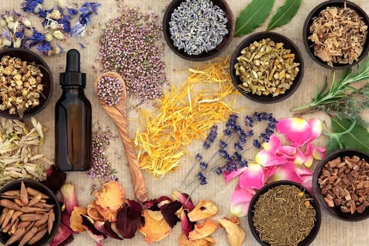 غذا‌های مضر برای کبد چرب