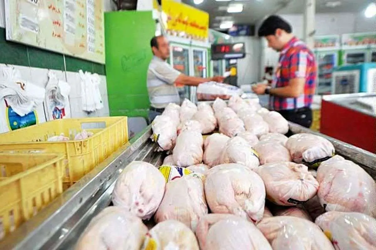 قیمت گوشت مرغ در بازار کیلویی چند؟!