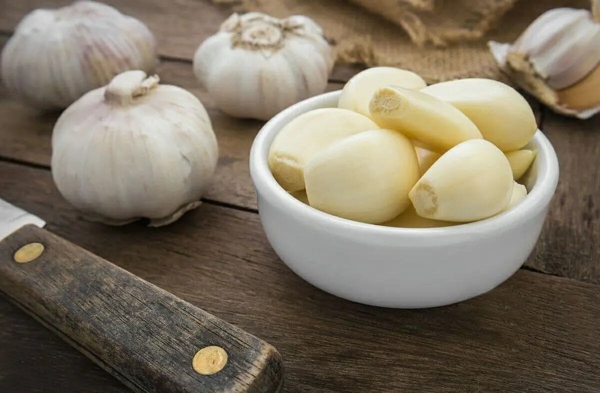 خواص معجون سیر و آبغوره