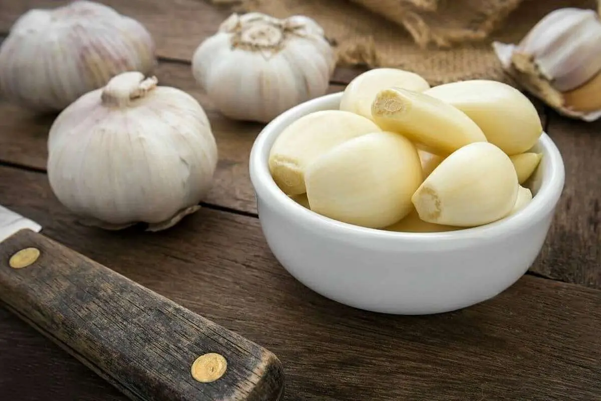 خواص معجون سیر و آبغوره