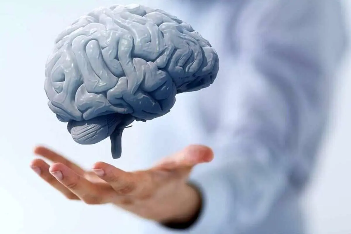کمبود این ویتامین مغز را کوچک میکند