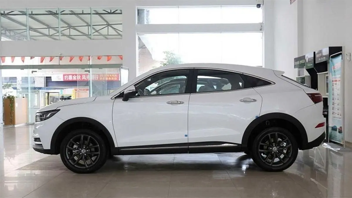 قیمت جدید دیگنیتی اعلام شد