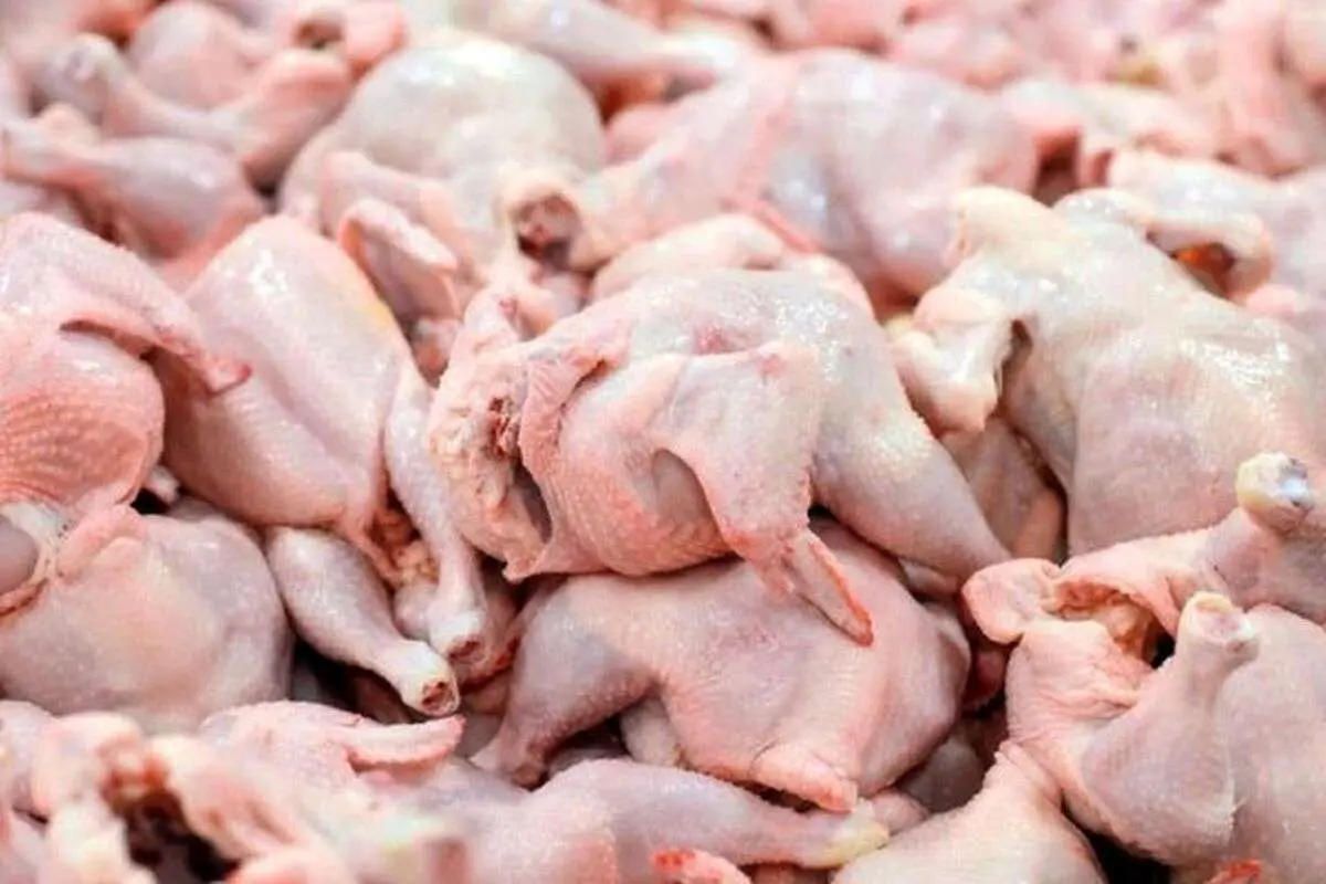قیمت سینه مرغ بستهای چند؟