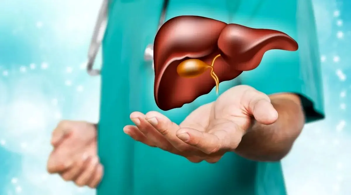چند توصیه طب سنتی برای پیشگیری از کبد چرب