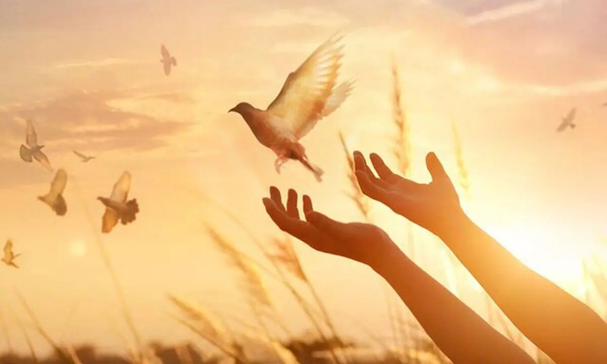 دختری که بعد از دیدن یک فیلم، قاتل پدرش را بخشید