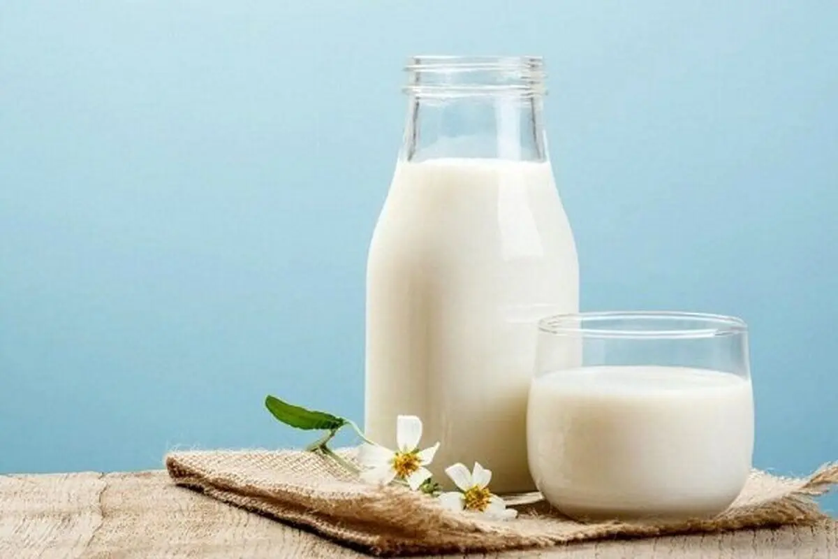 ۱۰ خاصیت شگفت‌انگیز شیر؛ خواص علمی اثبات شده