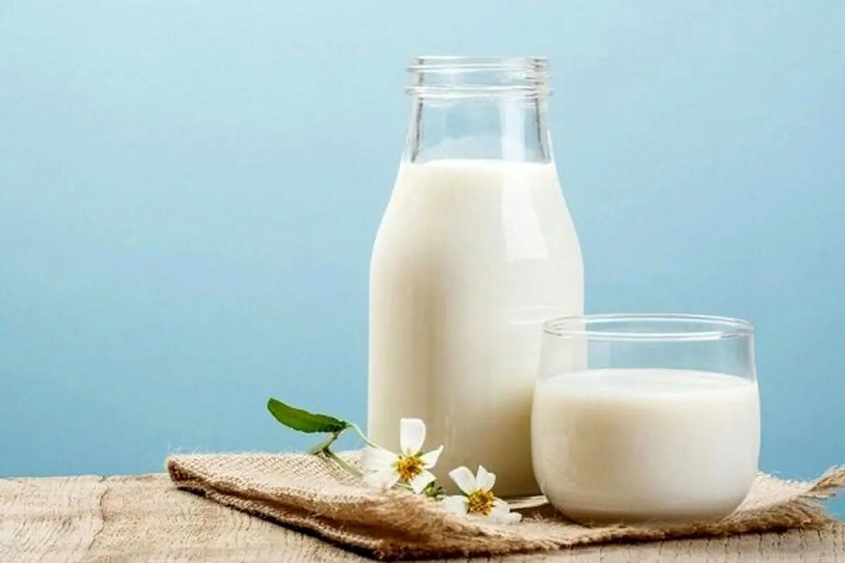 ۱۰ خاصیت شگفت‌انگیز شیر؛ خواص علمی اثبات شده