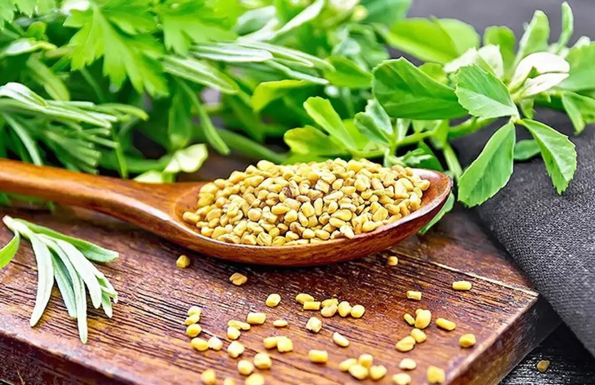 این سبزی سنگ کلیه را آب می‌کند