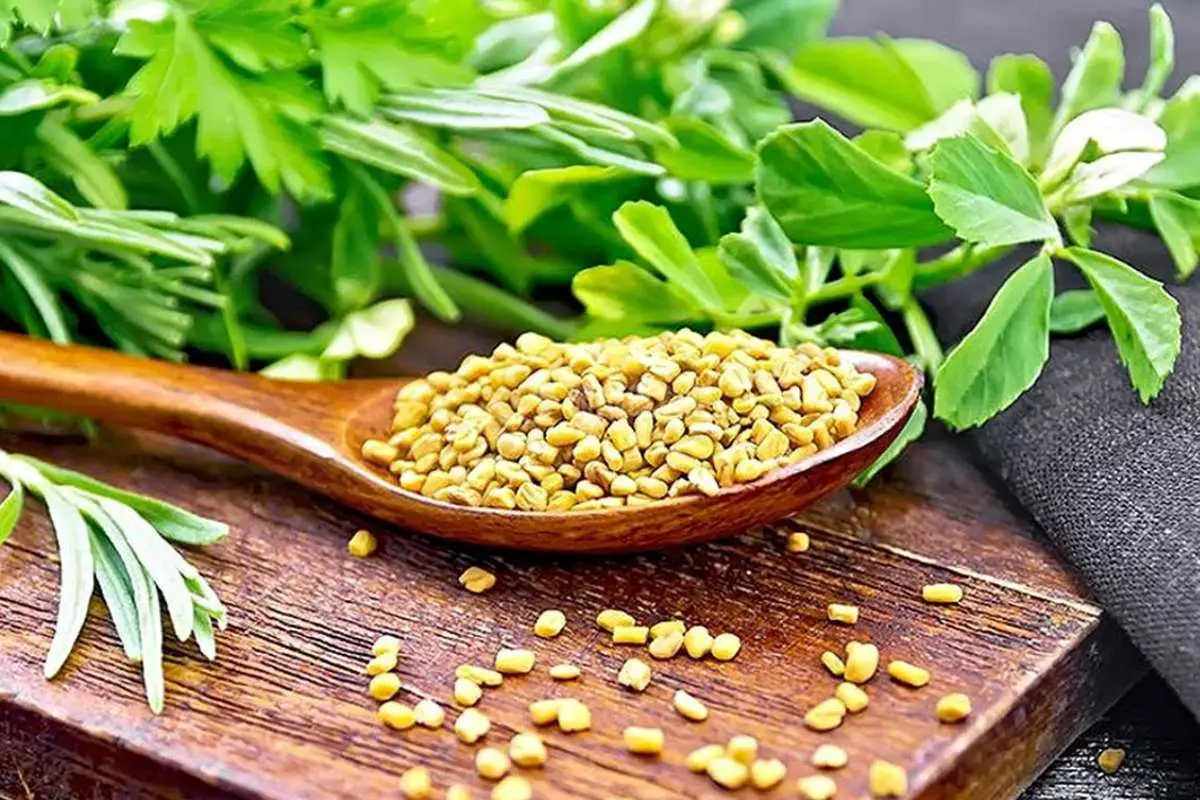 این سبزی سنگ کلیه را آب می‌کند