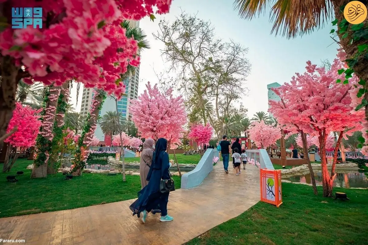 (تصاویر) باغ ساکوراى ژاپنى در جده عربستان