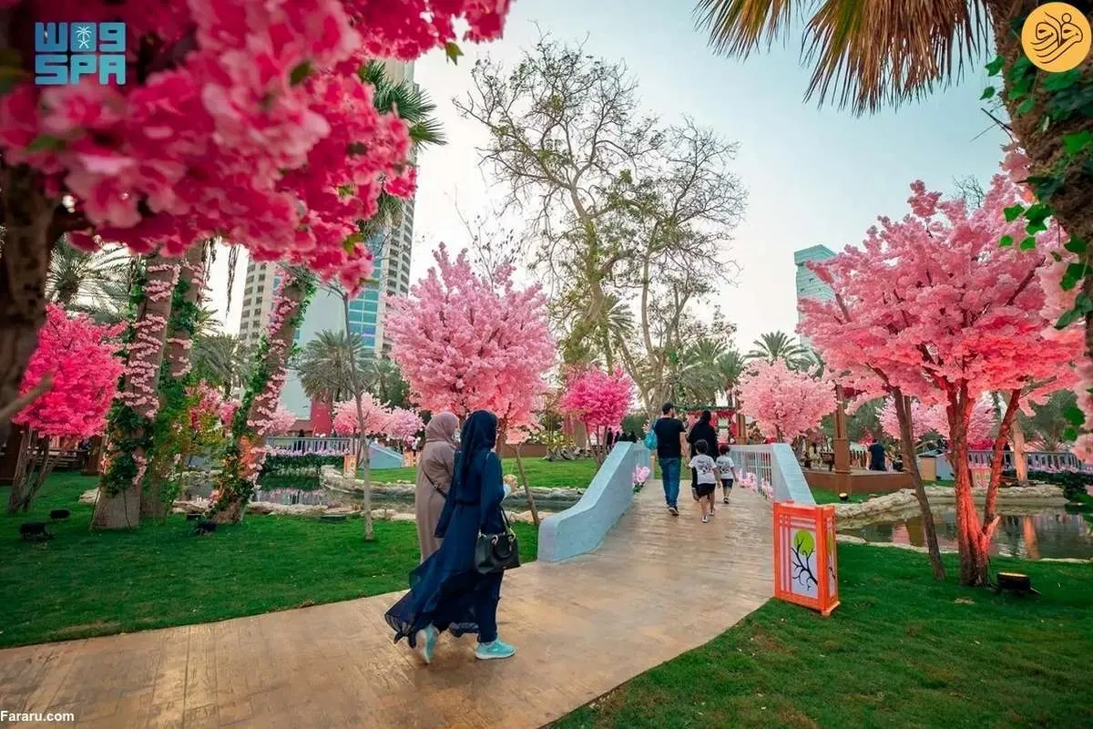 (تصاویر) باغ ساکوراى ژاپنى در جده عربستان