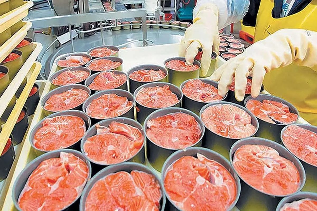 افت صادرات کنسرو ماهی