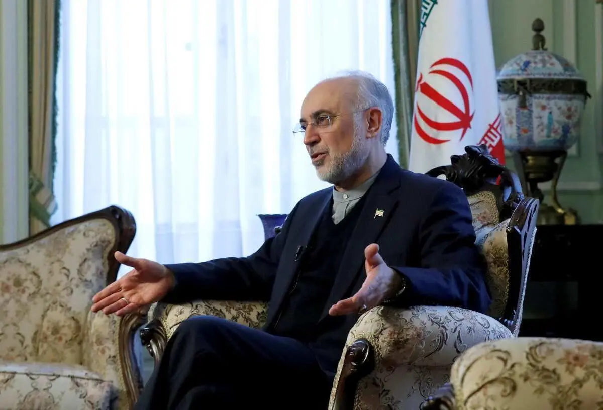 علی‌اکبر صالحی: نباید انتظار داشت ایران به فلسطین سرباز بفرستد