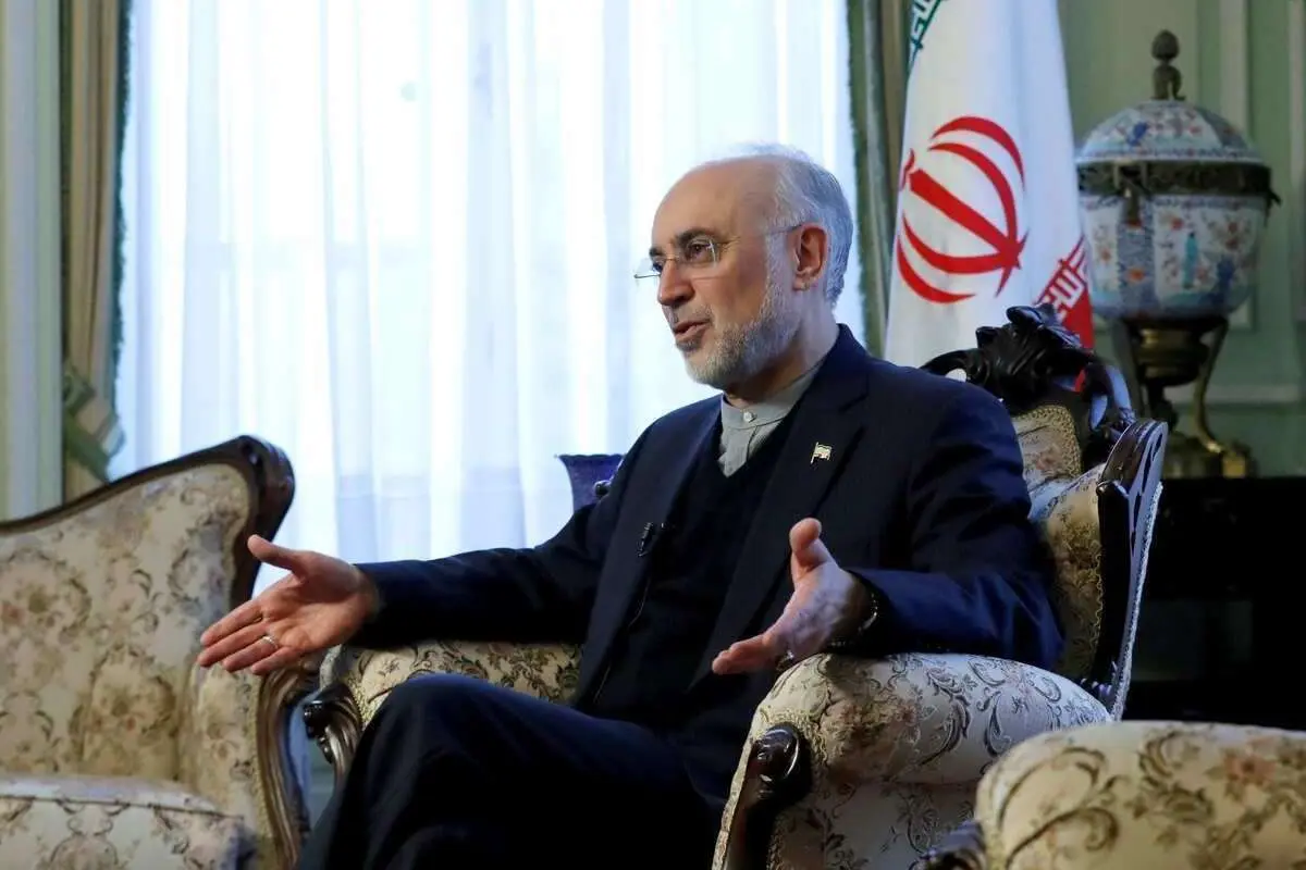 علیاکبر صالحی: نباید انتظار داشت ایران به فلسطین سرباز بفرستد