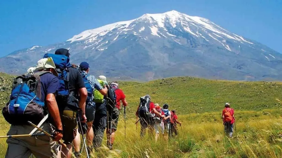 برای بهبود هر بیماری چه ورزشی لازم است؟