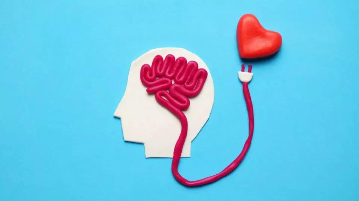 نتایج جالب یک پژوهش؛ عشق چگونه عقل را کنار می‌زند؟