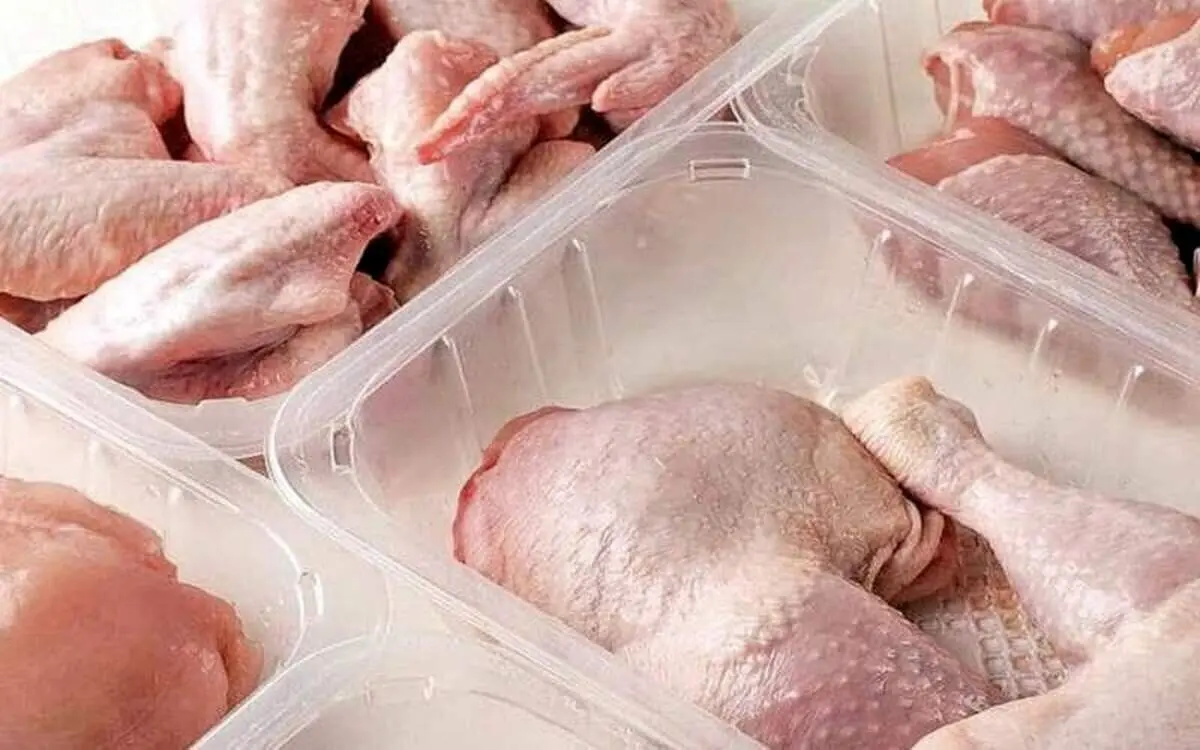 قیمت گوشت بوقلمون چند؟