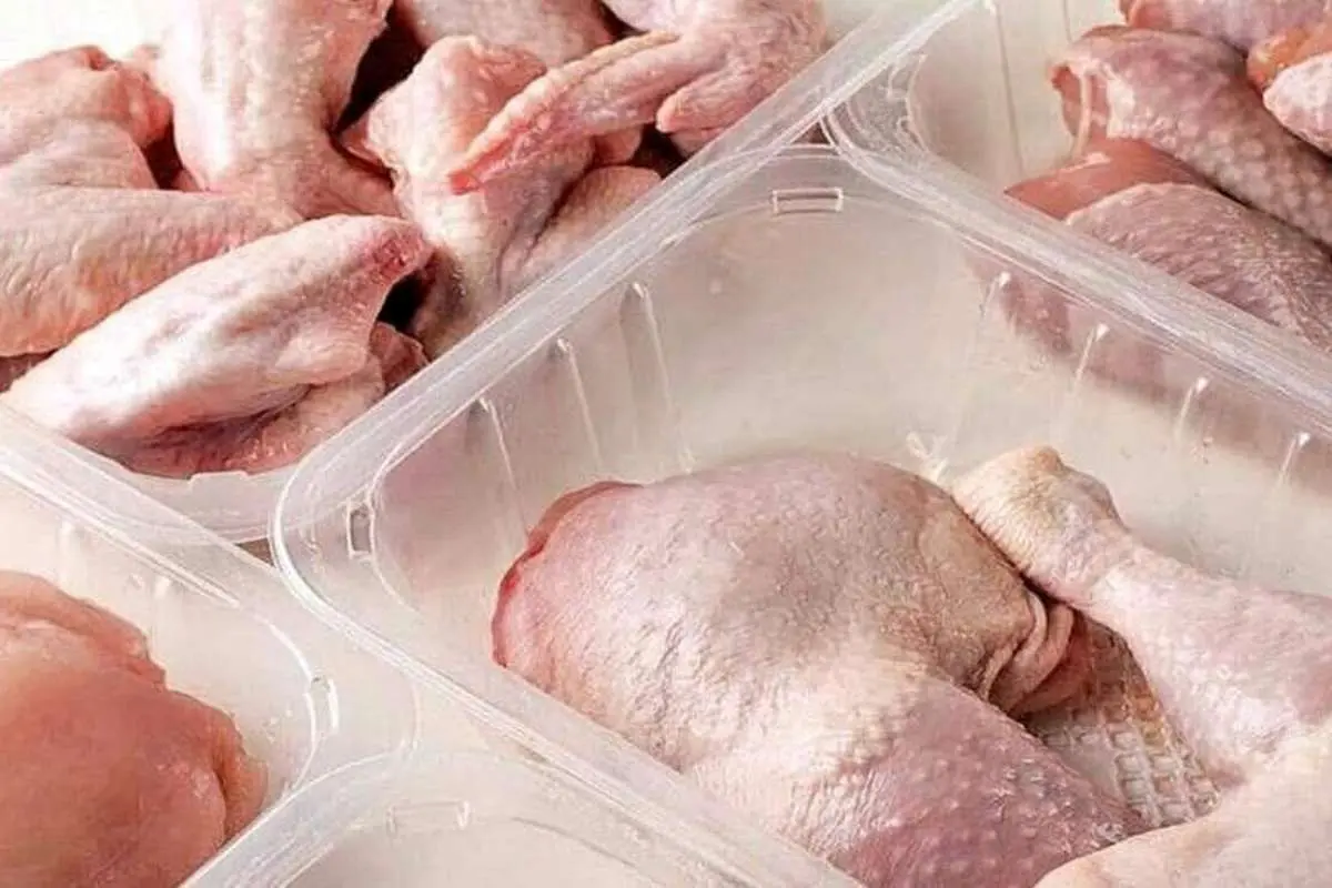 قیمت گوشت بوقلمون چند؟