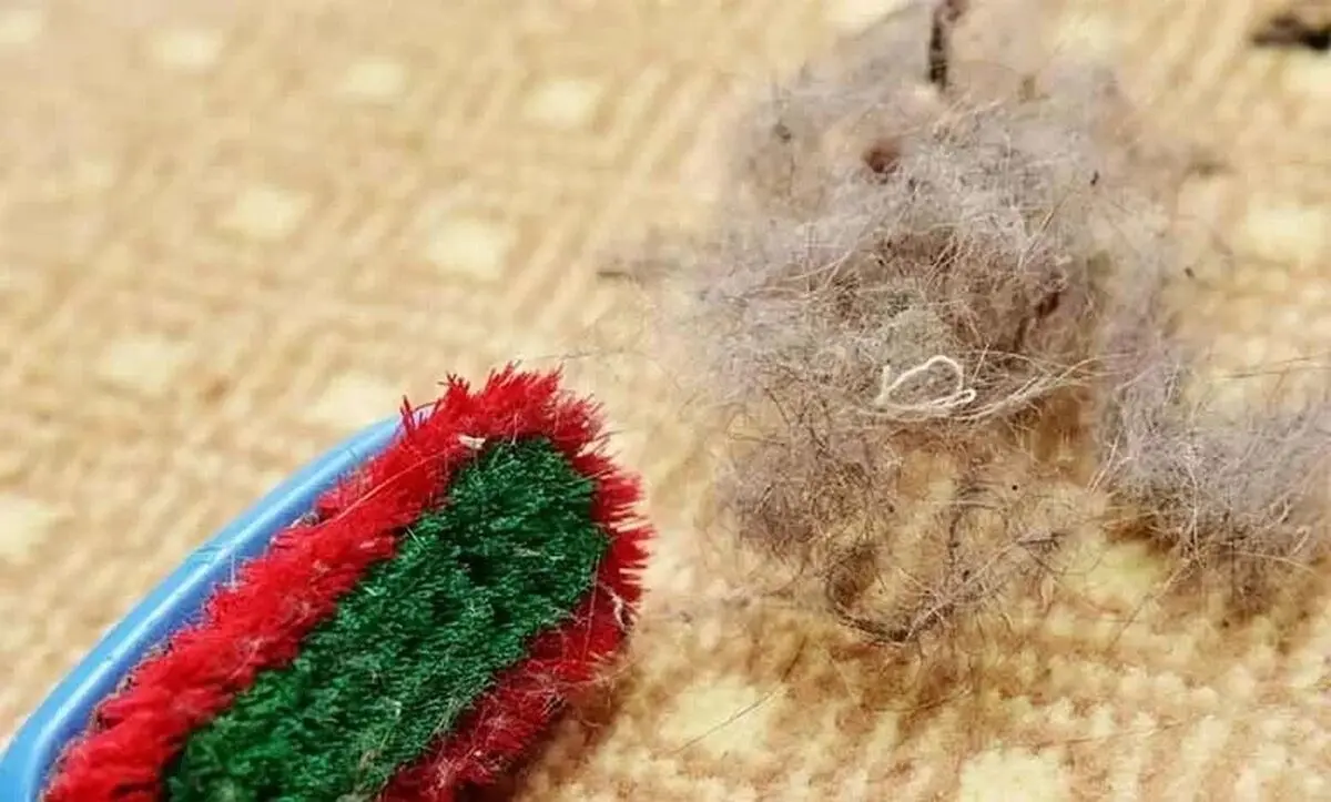 جمع کردن مو از روی موکت و فرش با ۹ ترفند ساده