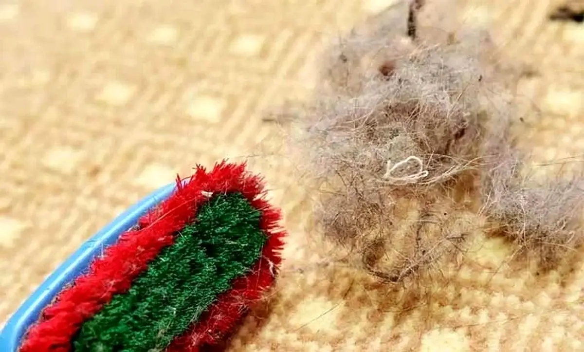 جمع کردن مو از روی موکت و فرش با ۹ ترفند ساده