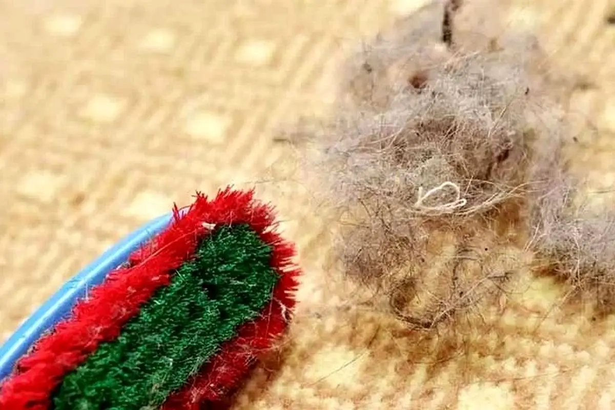 جمع کردن مو از روی موکت و فرش با ۹ ترفند ساده