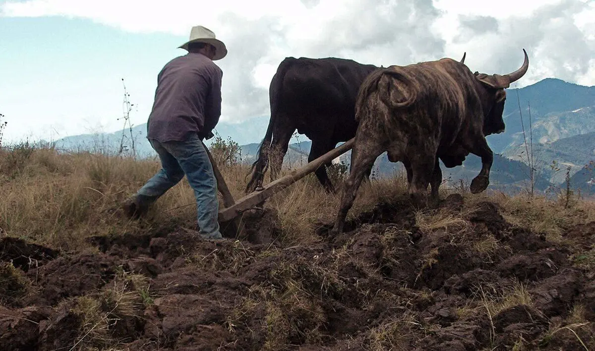 هشت اختراعی که جهان را برای همیشه تغییر داد