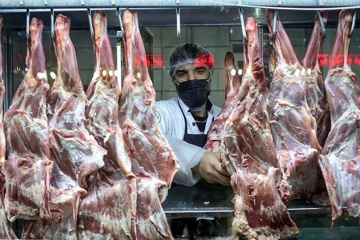 چرا دولت بر واردات گوشت قرمز منجمد اصرار دارد؟
