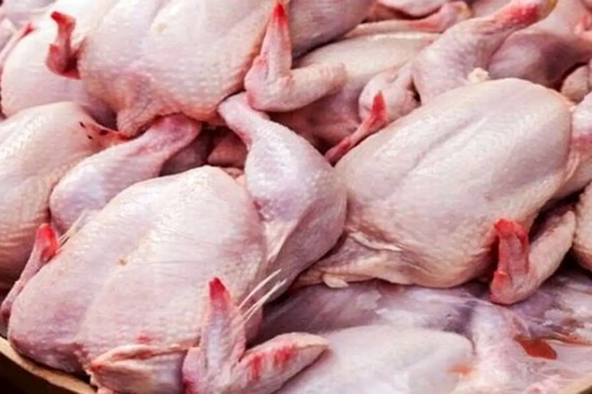 در بازار گوشت مرغ چه خبر است؟