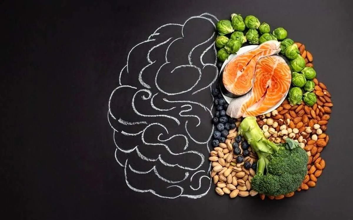 ۵ ماده غذایی مفید برای حفظ سلامت و حجم مغز