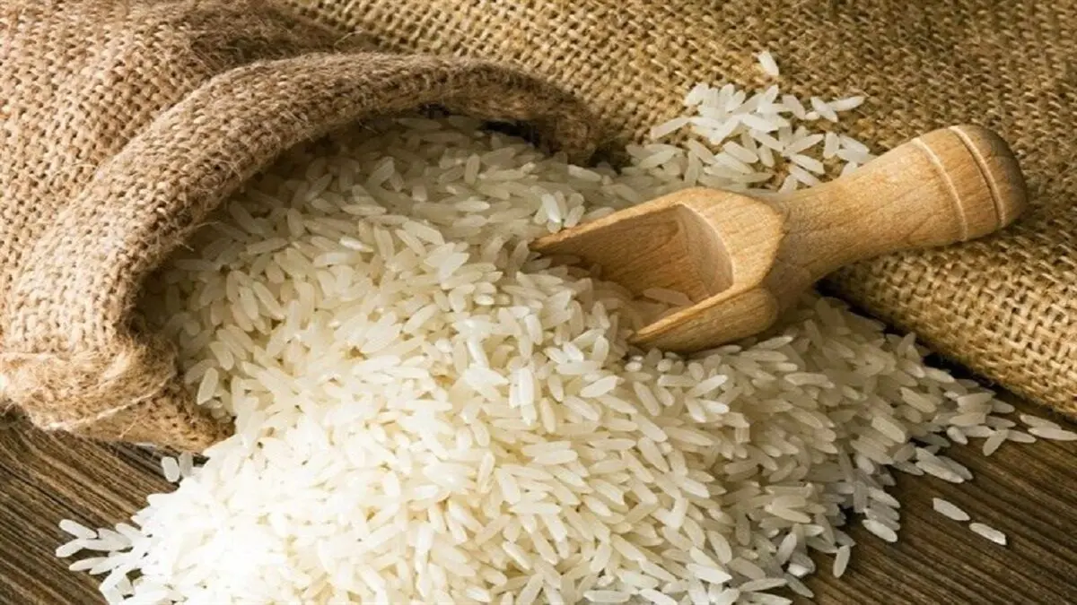 افزایش تولید برنج
