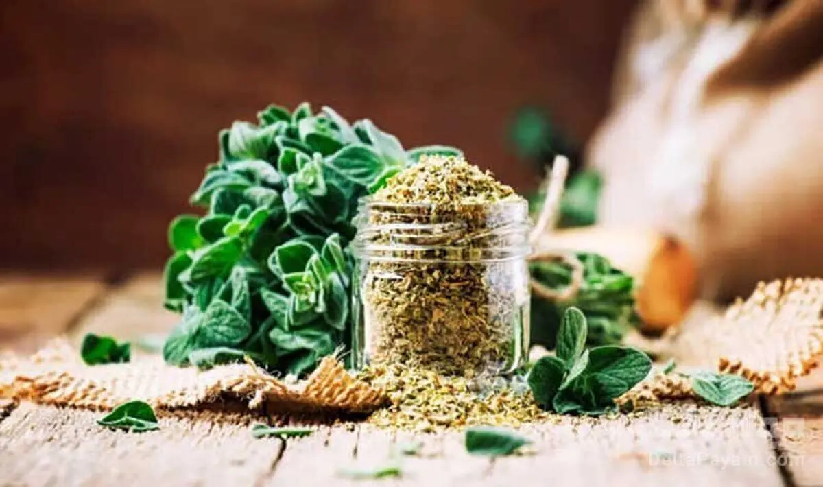 بهترین روش برای خشک کردن سبزی