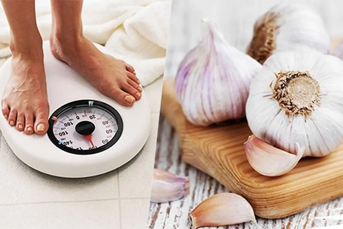 آیا سیر واقعا چربیسوزی میکند؟