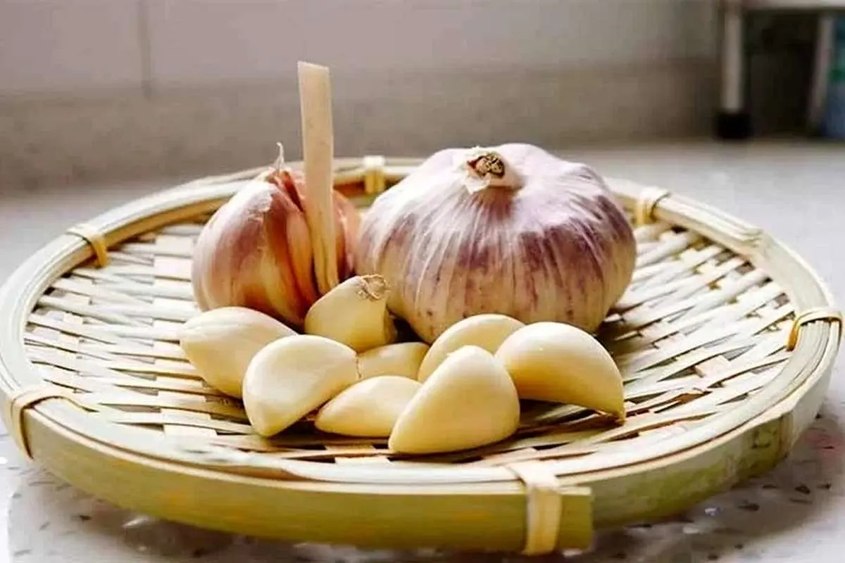 ۷ ترفند طلایی برای پوست کندن سیر خشک؛ سریع و ساده