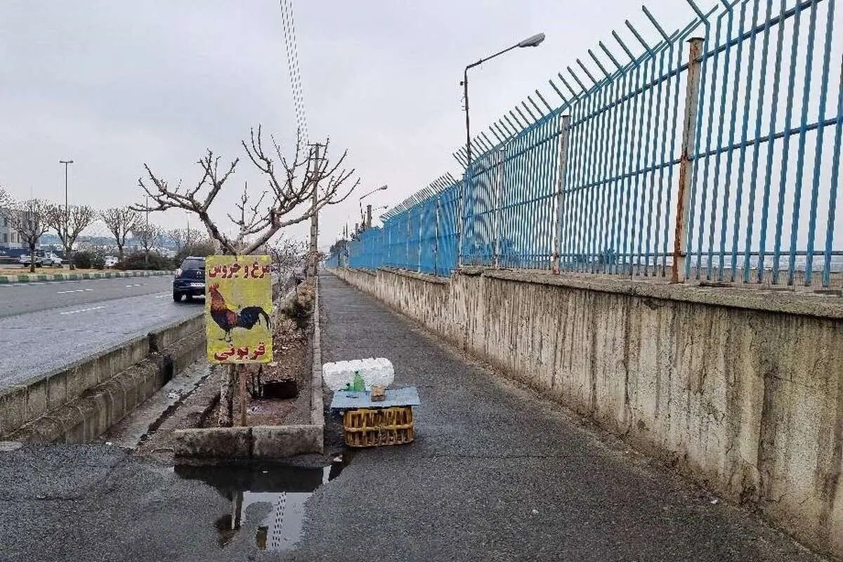 این جا پلاکهای نو را خون مالی میکنند