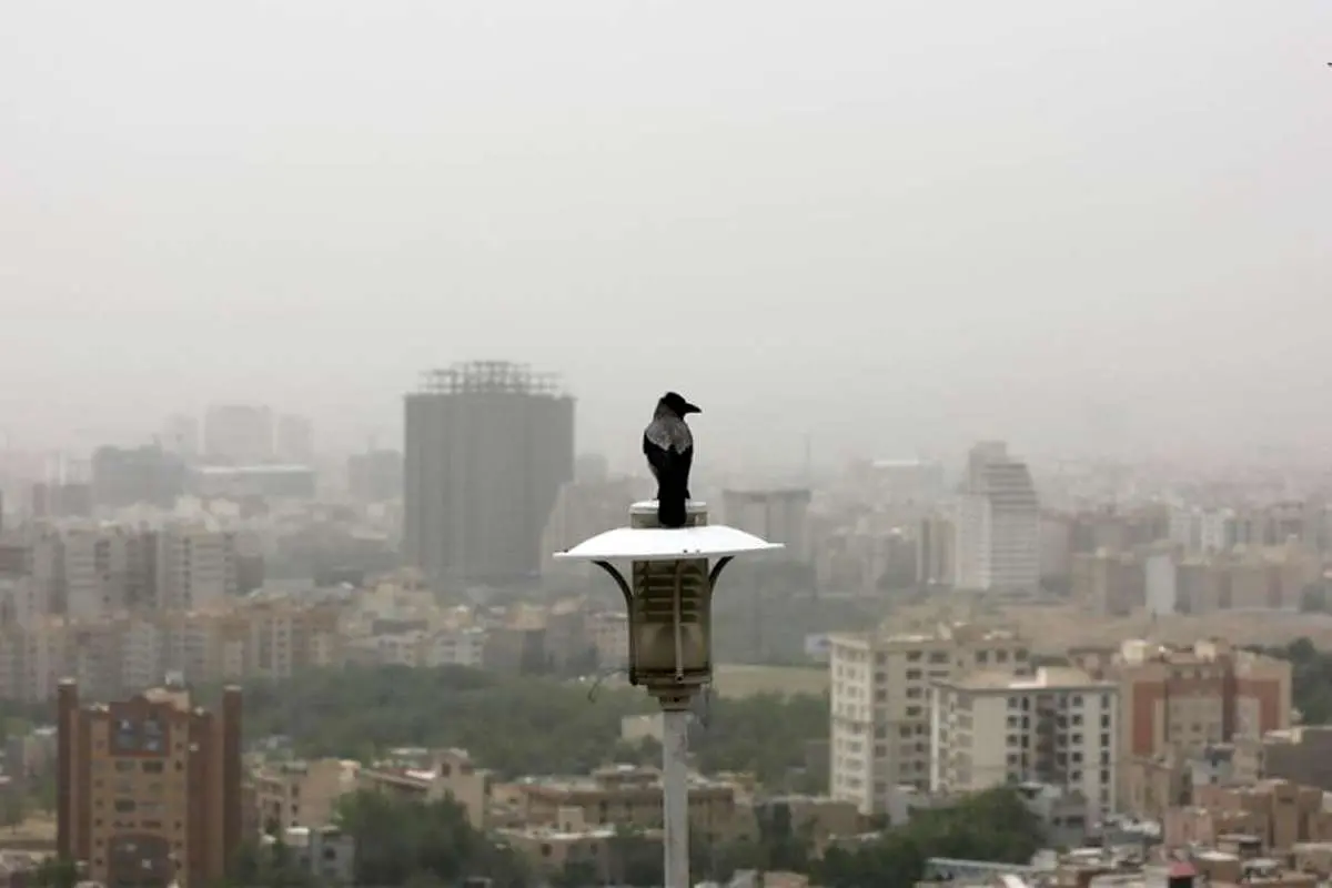 پیرهادی، نماینده: نیمی از جمعیت کشور در معرض آلودگی هوا قرار دارند