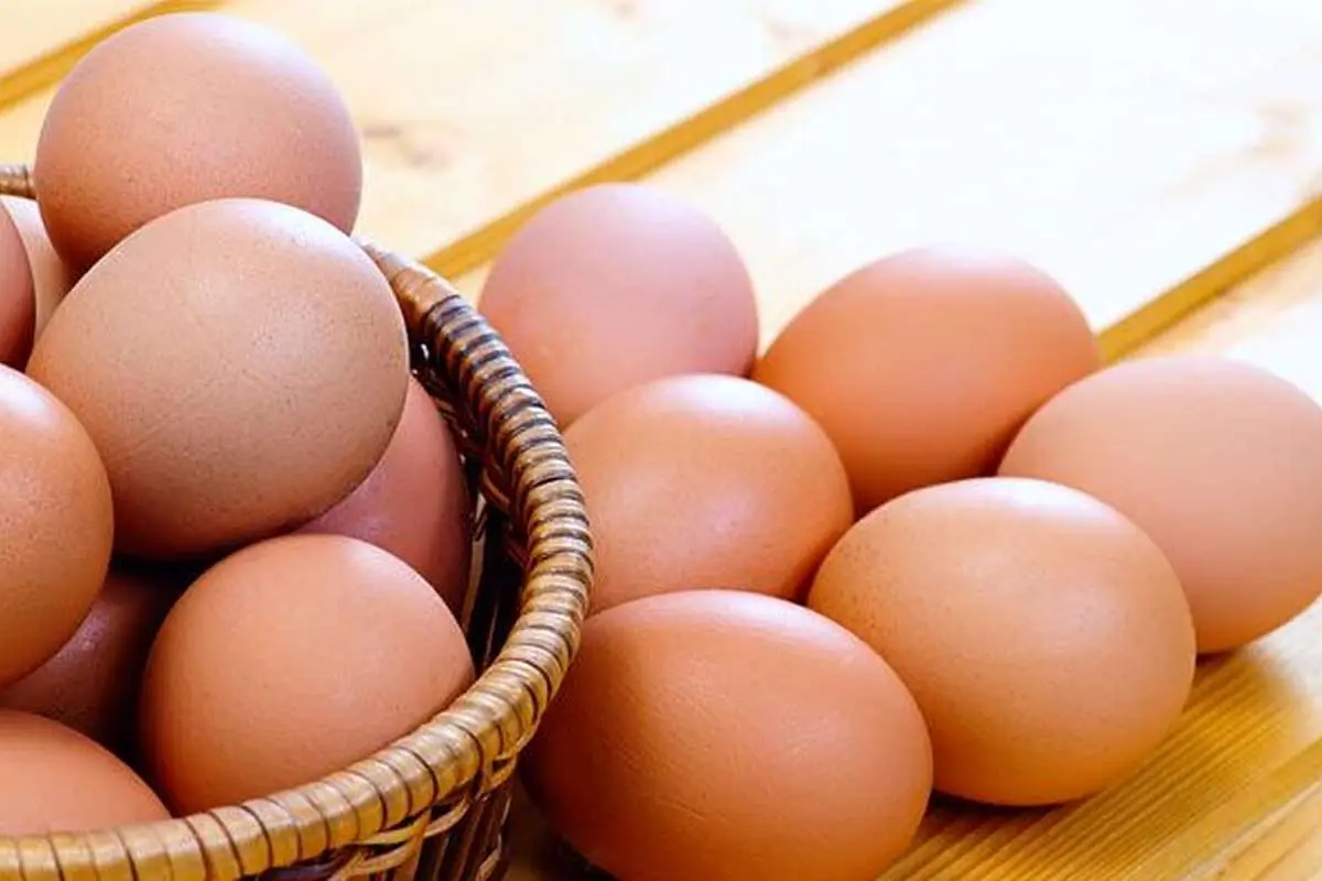 قیمت تخم مرغ در بازار چند؟