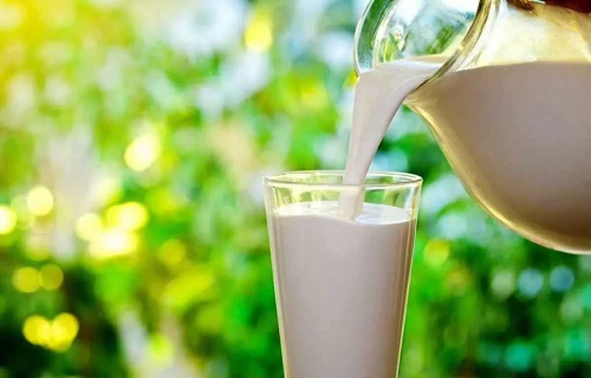 روزانه دو لیوان شیر بنوشید
