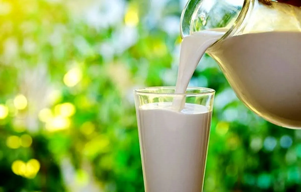 روزانه دو لیوان شیر بنوشید