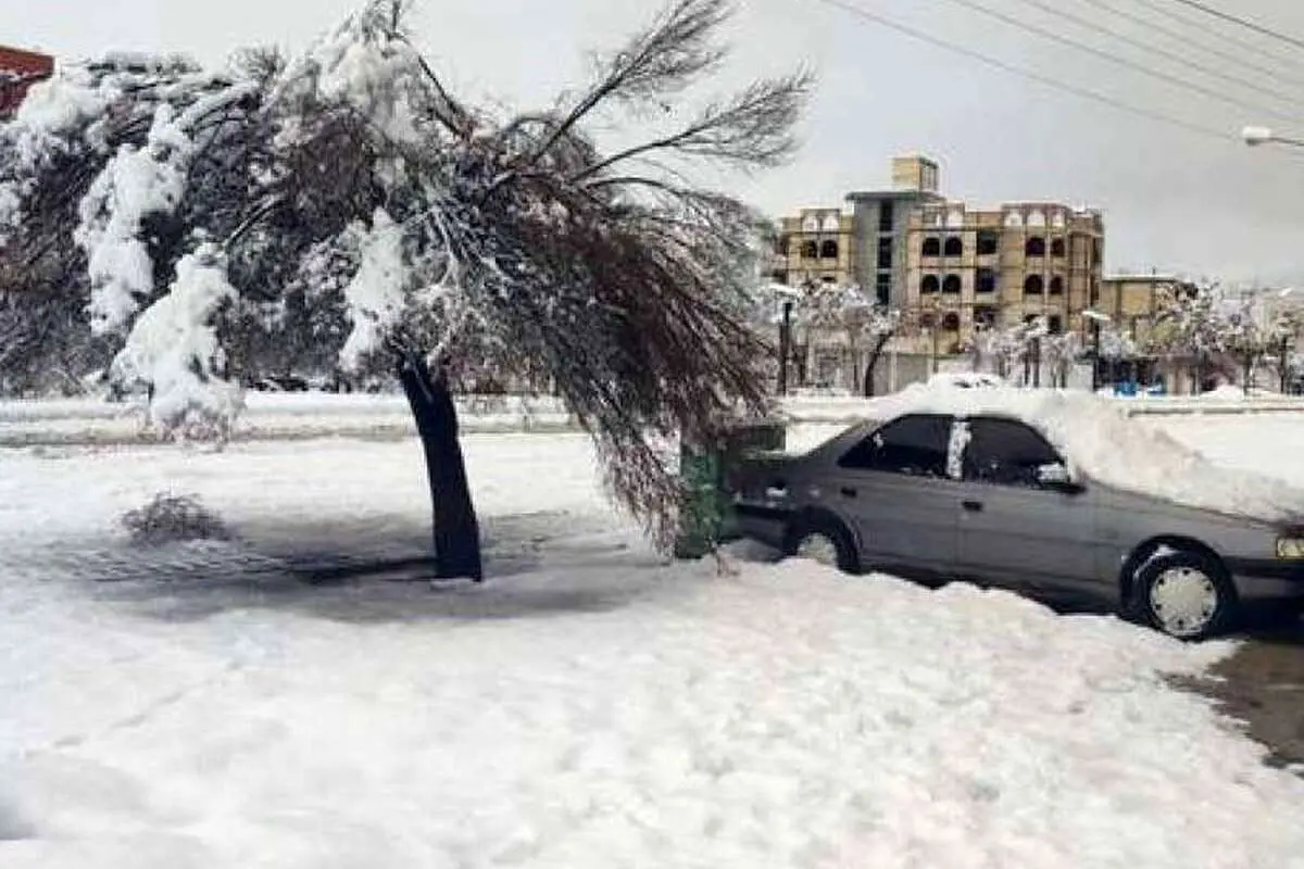 (ویدئو) هواشناسی: امشب و فردا در اغلب نقاط کشور یخبندان سراسری خواهیم داشت