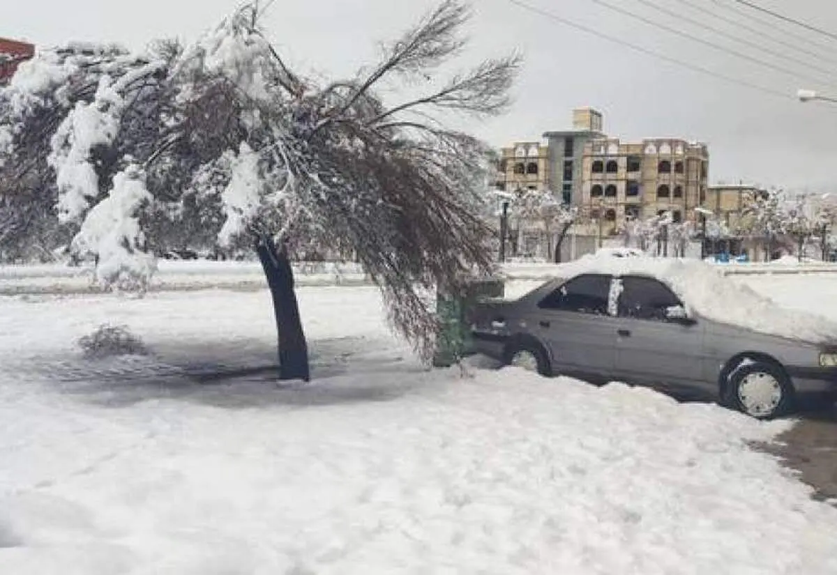 (ویدئو) هواشناسی: امشب و فردا در اغلب نقاط کشور یخ‌بندان سراسری خواهیم داشت