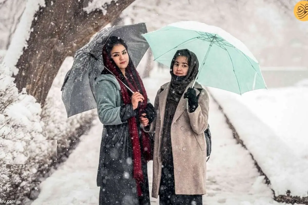 (ویدئو) بارش اولین برف زمستانی در کابل