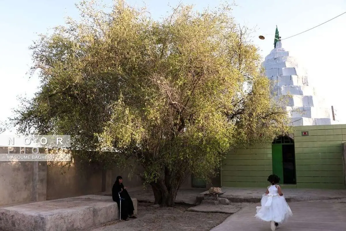 (تصاویر) ماجرای احترام به یک درخت توسط بختیاریها