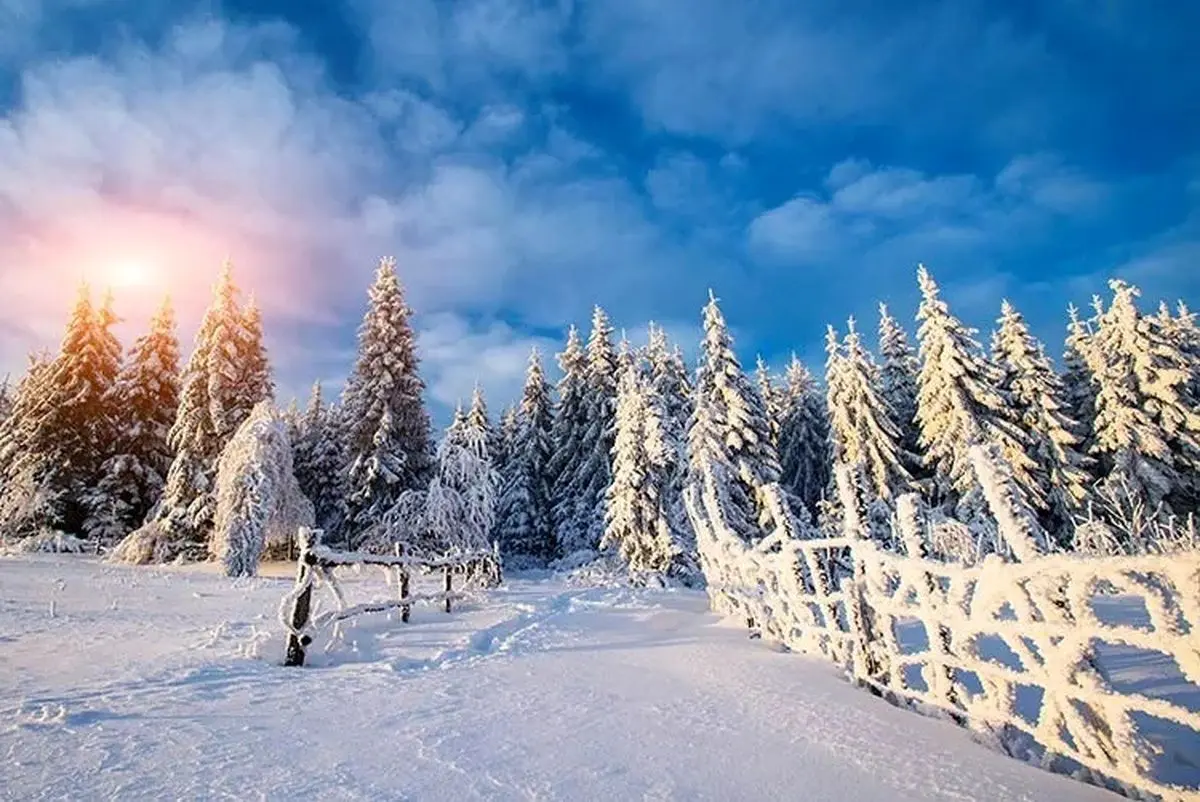 تفال به حافظ سه شنبه ۱۷ بهمن ۱۴۰۲؛ زلفت هزار دل به یکی تار مو ببست...